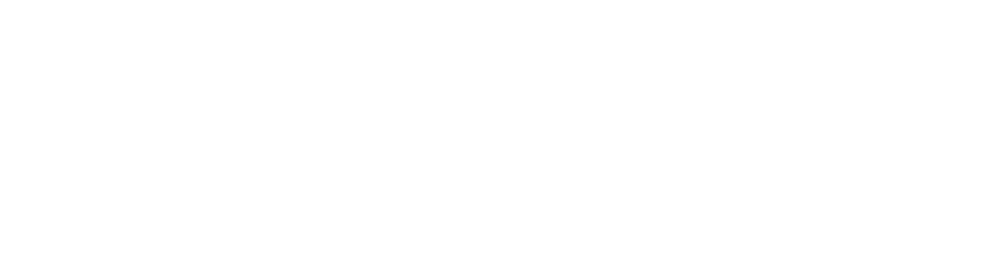 Pimecco
