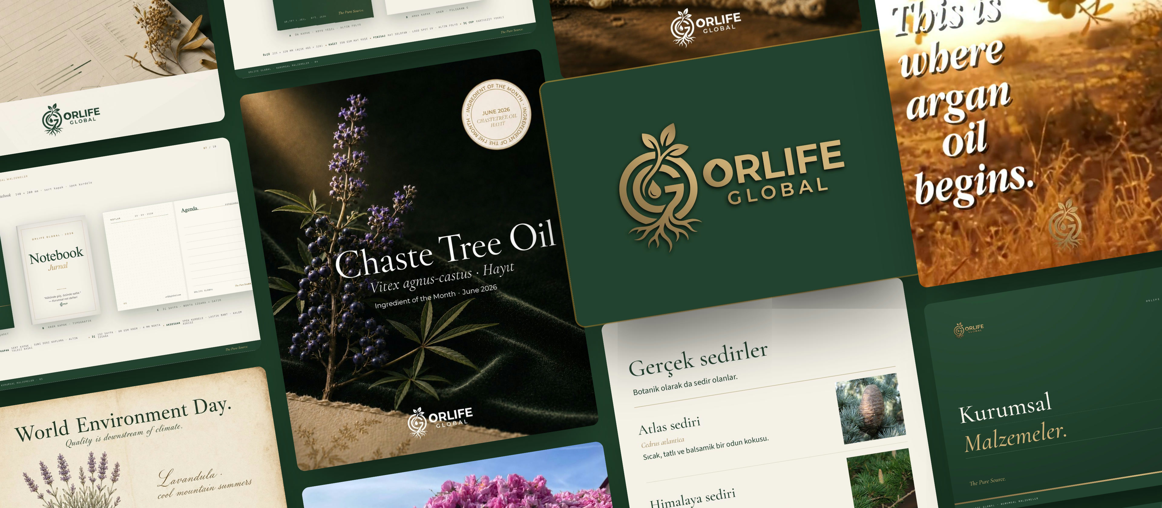 Orlife Global