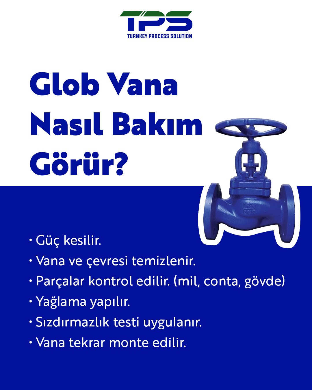 TPS Proje