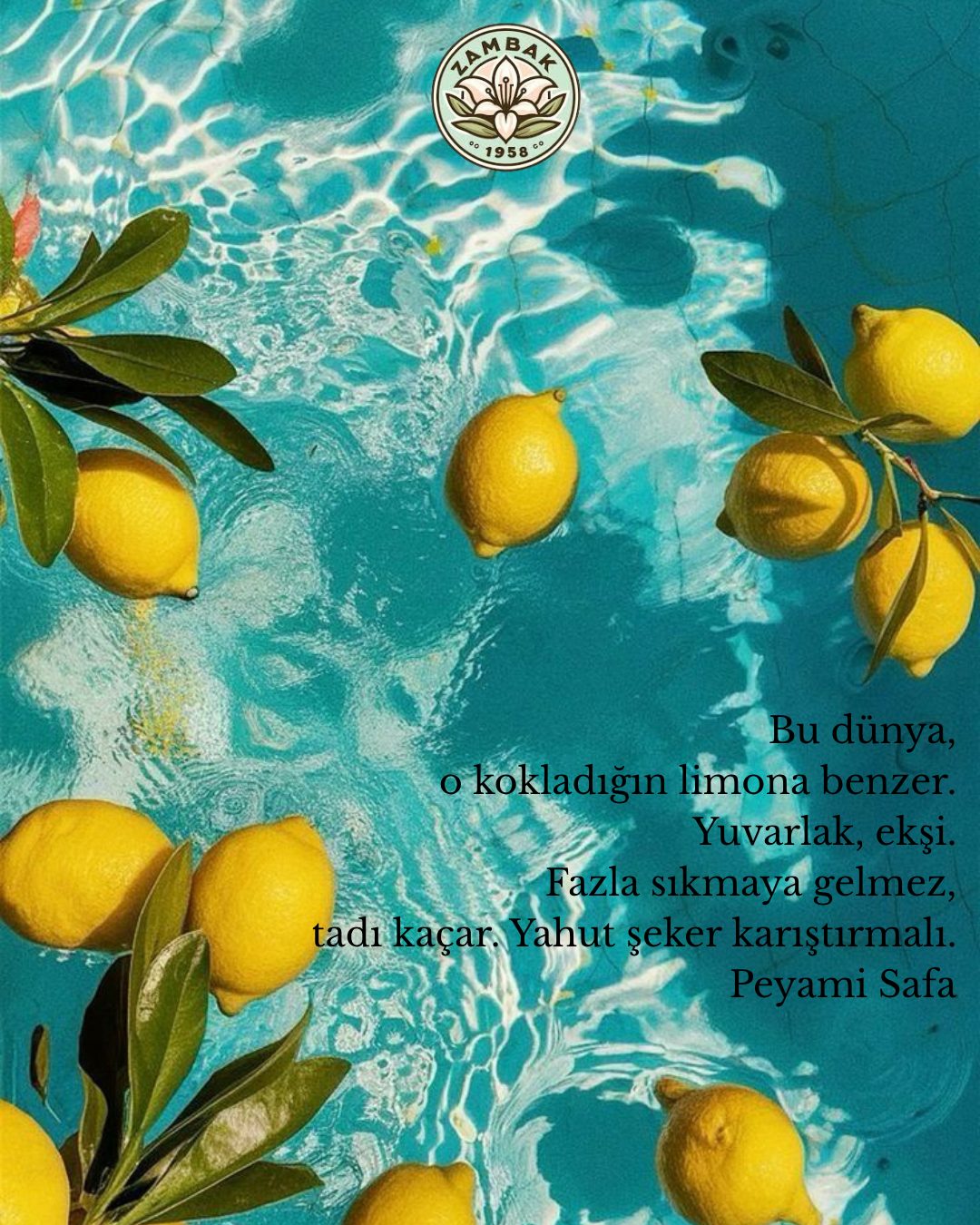 Zambak Şekerleme
